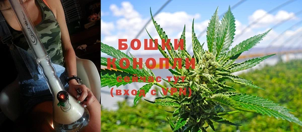 крисы Беломорск