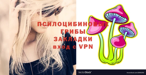 крисы Беломорск